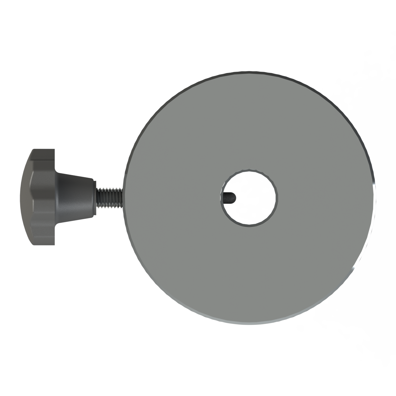 Side view of Vorion Scientific Counter Weights - 1kg, Powder Coating