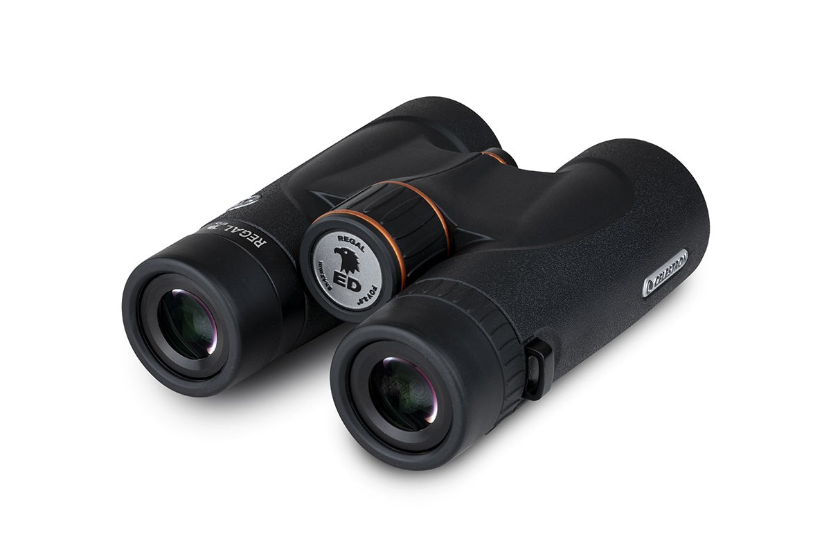 Side view of Celestron-Regal-ED-8x42-ROOF-Binocular-