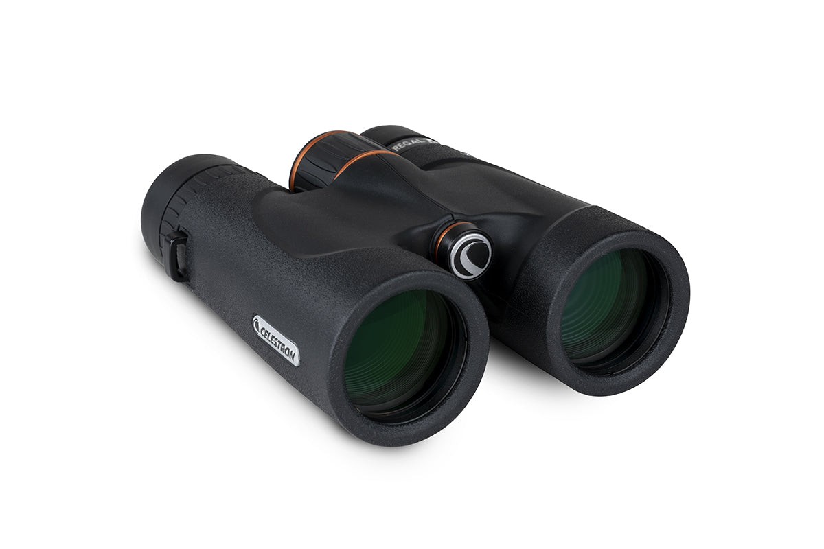 Side view of Celestron-Regal-ED-8x42-ROOF-Binocular-