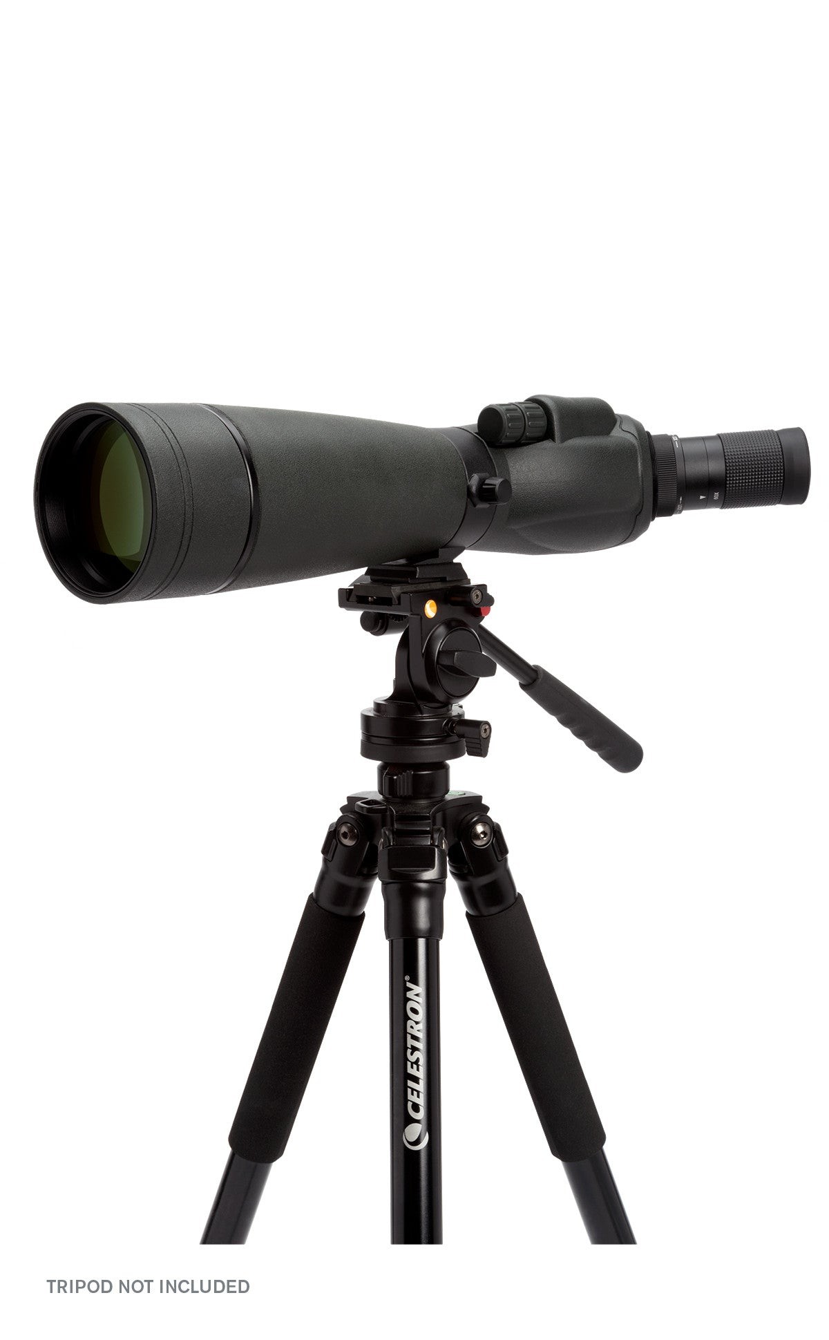Side view of CELESTRON SPOTTING SCOPE TRAILSEEKER 20-60X80MM ANGLED ZOOM