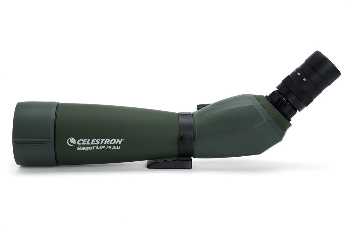 Side view of CELESTRON SPOTTING SCOPE REGAL M2 20-60X80MM ED ANGLED ZOOM