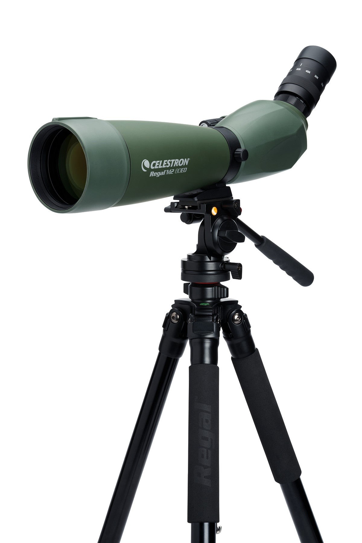 Side view of CELESTRON SPOTTING SCOPE REGAL M2 20-60X80MM ED ANGLED ZOOM